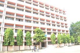 Meera Bai Institute of  Technology